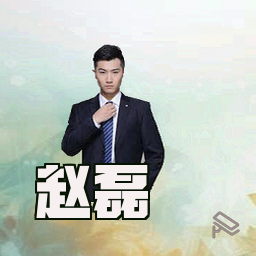 赵磊